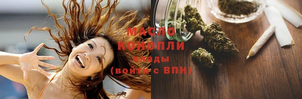 индика Вязьма