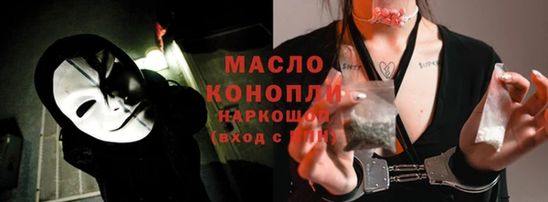 гашик Дмитров