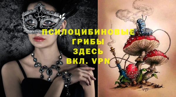 apvp Алексеевка