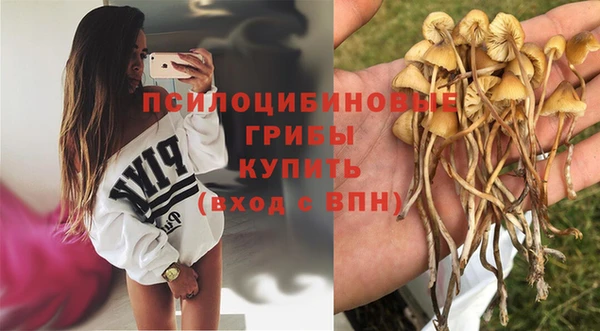 кокс Алзамай