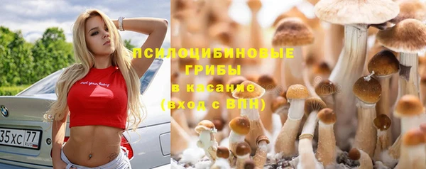 гидропоника Алексин