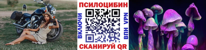 Псилоцибиновые грибы MAGIC MUSHROOMS нарко площадка Telegram Заполярный купить сайты